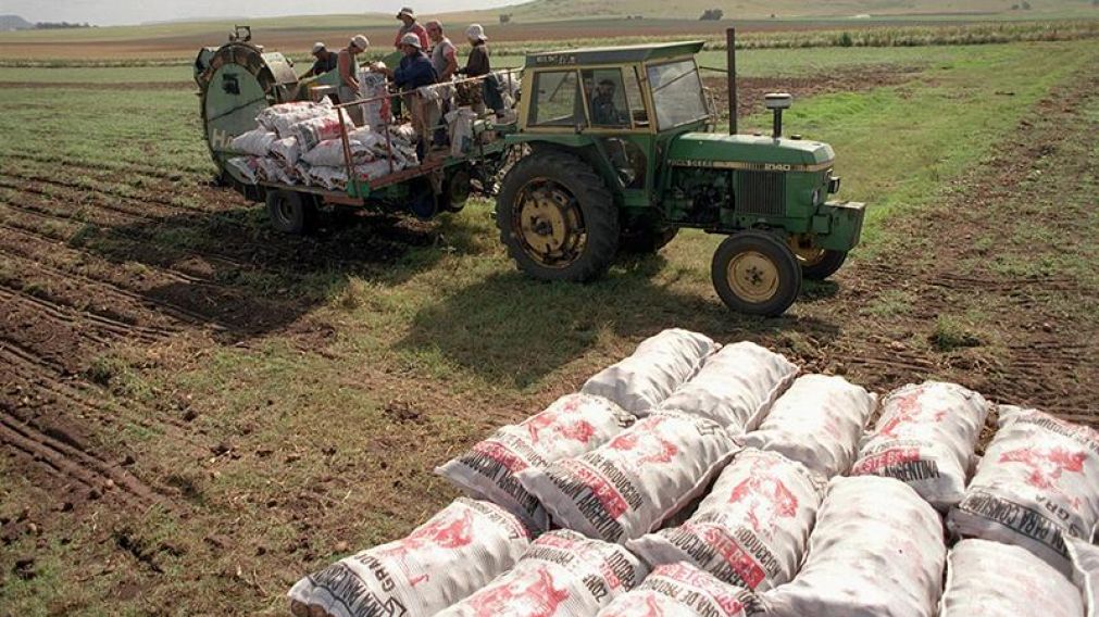 Denuncia que el porcentaje del valor que cobran los productores sobre precio en góndola no llega al 10%.