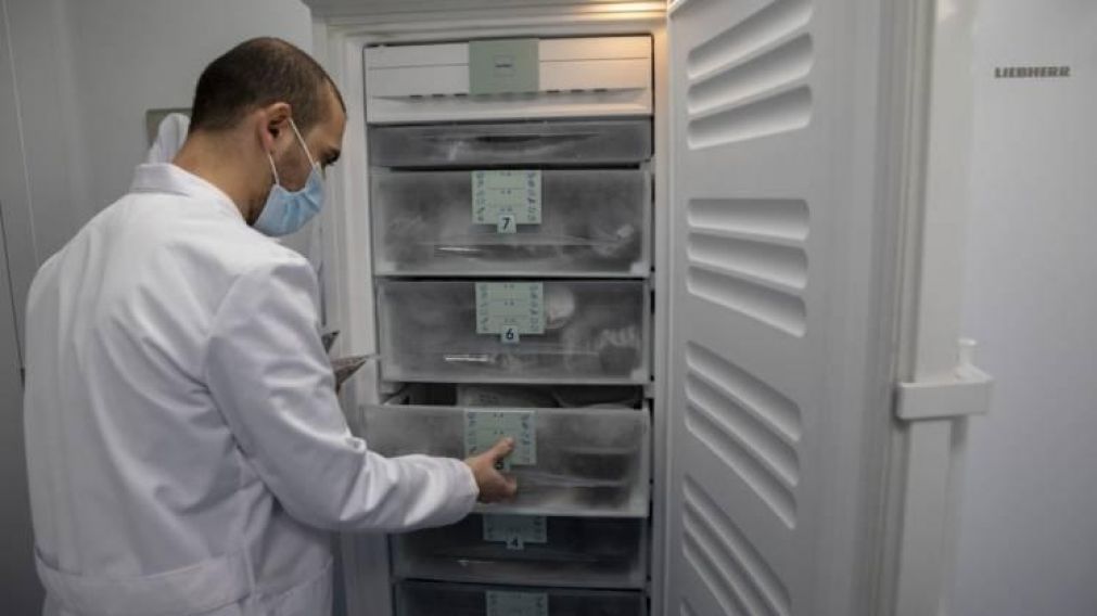 Los ensayos de coronavirus buscan dar con una vacuna 100% efectiva (Imagen ilustrativa).