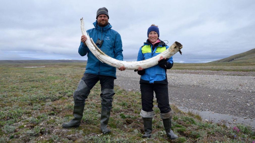 Los arqueólogos encontraron el ADN en el colmillo de un mamut (Sky News)