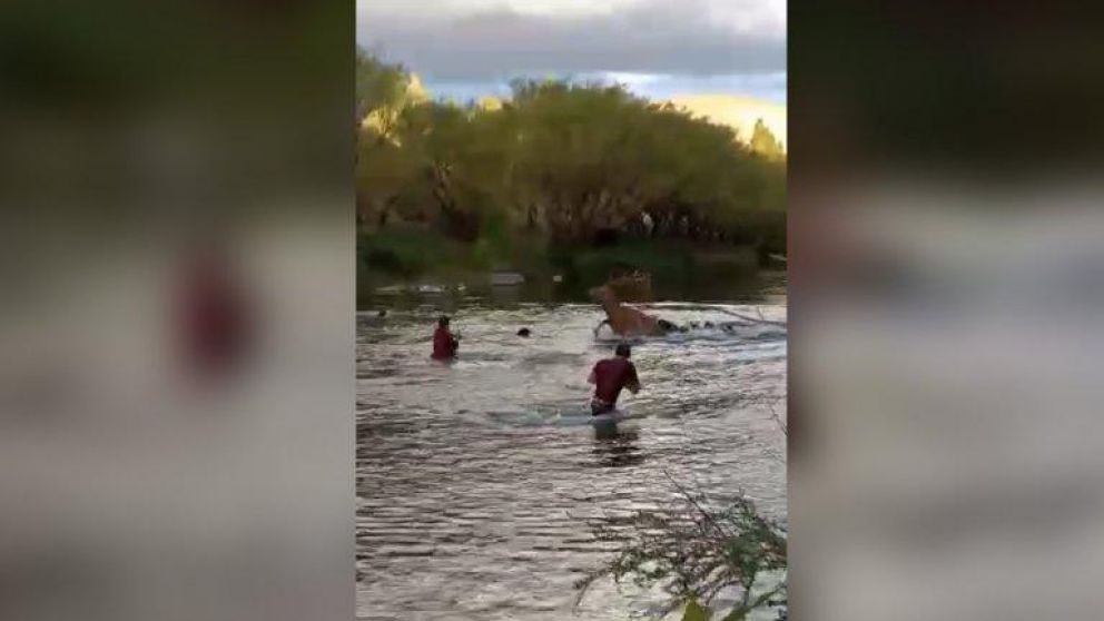 El ciervo fue apuñalado mientras cruzaba el río.