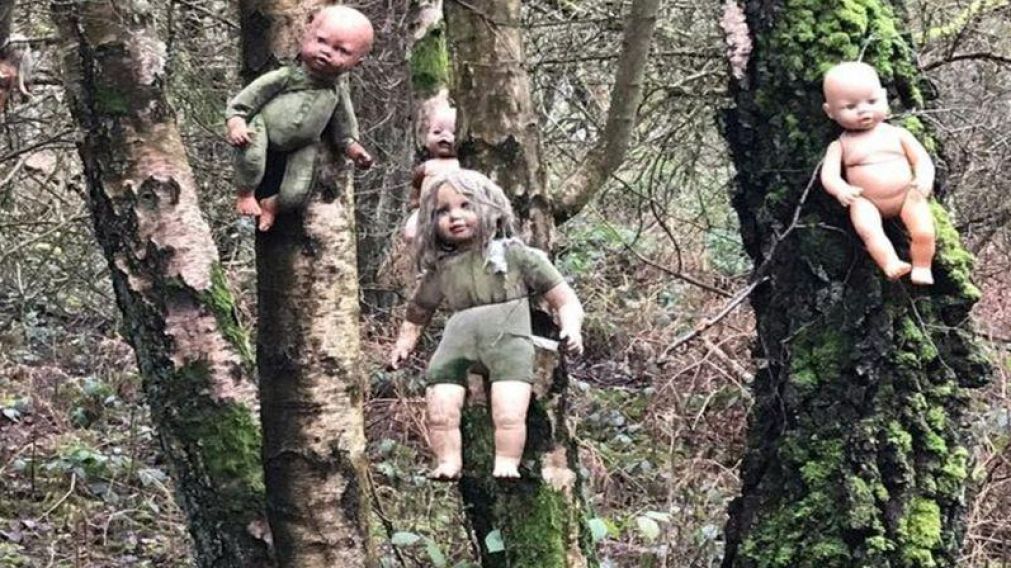 Caminaba por el bosque y fue sorprendida por muñecas malditas.