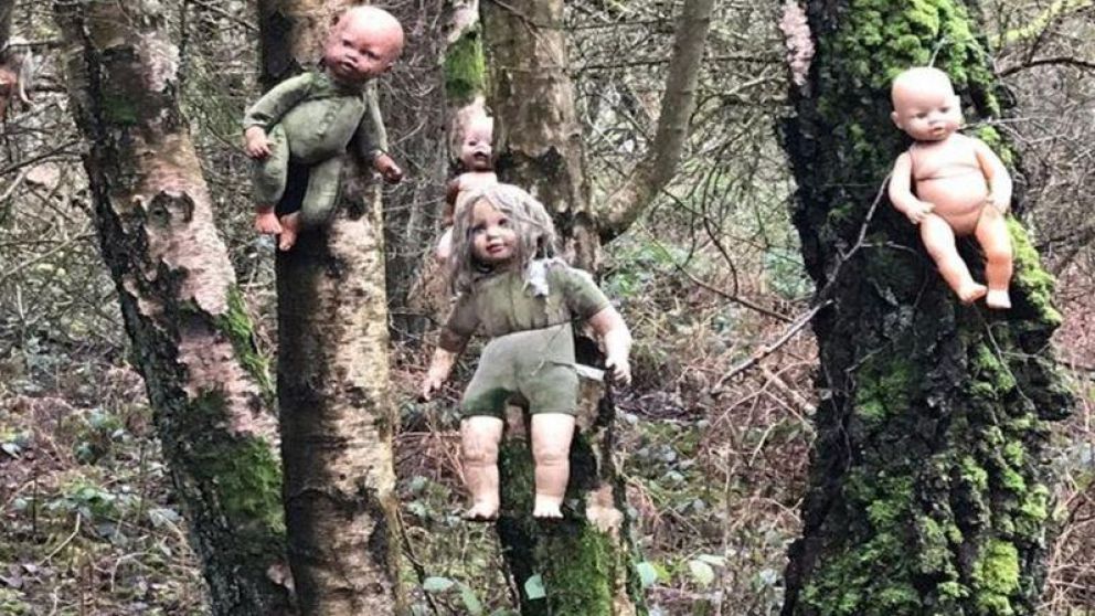 Caminaba por el bosque y fue sorprendida por muñecas malditas.