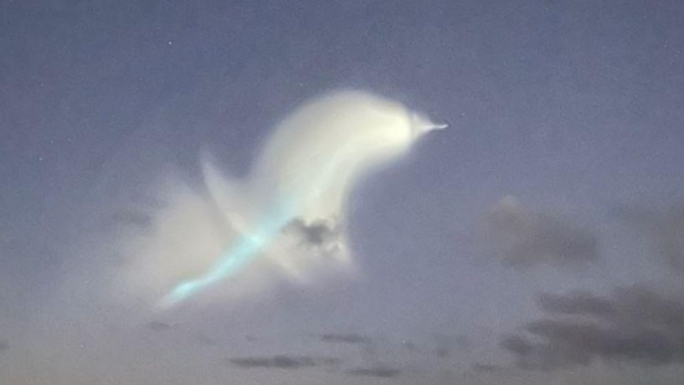 Sorpresa en el cielo de Miami (Captura de video).