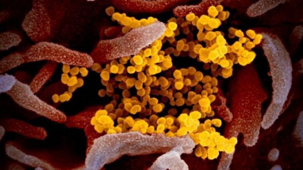 Alarma en el mundo por la nueva variante de coronavirus (Imagen ilustrativa).
