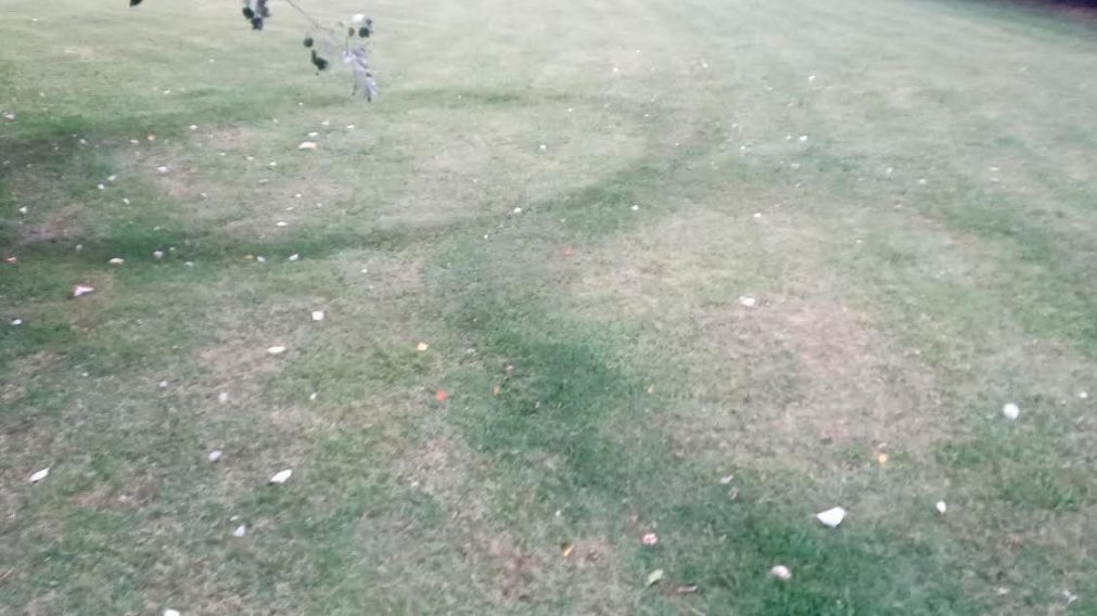 Ovni de Roque Pérez: apareció una misteriosa huella en el pasto.