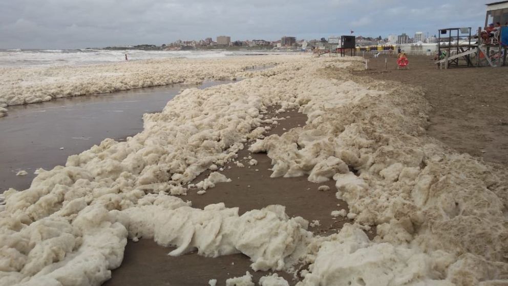 La explicaci�n cient�fica de la espuma que se form� en las costas de Mar del Plata.
