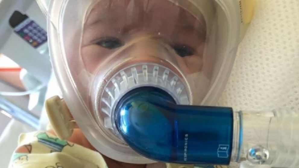 La campaña 'Salvemos Rafita' se viralizó en toda la región.