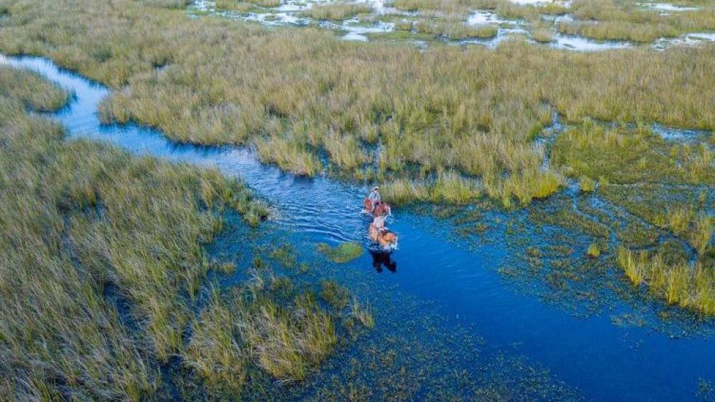 Parque Nacional Iberá.