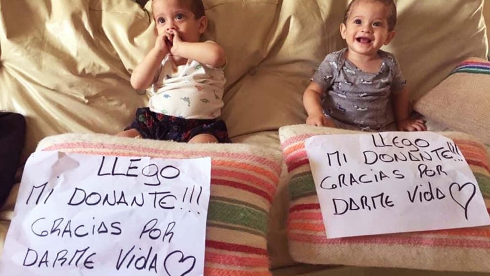 La historia de Milo y Jano, dos guerreros de la vida.