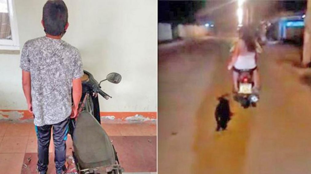 El acusado detenido, y las imágenes del momento en que arrastraban al animal (Gentileza El Liberal).