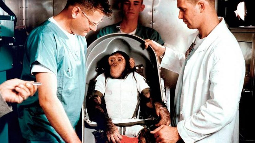 Ham pudo pilotear la cápsula espacial "Mercury".