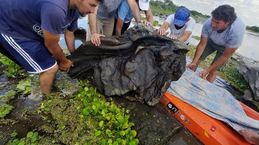 Los vecinos fueron los que encontraron los restos fósiles del gliptodonte.