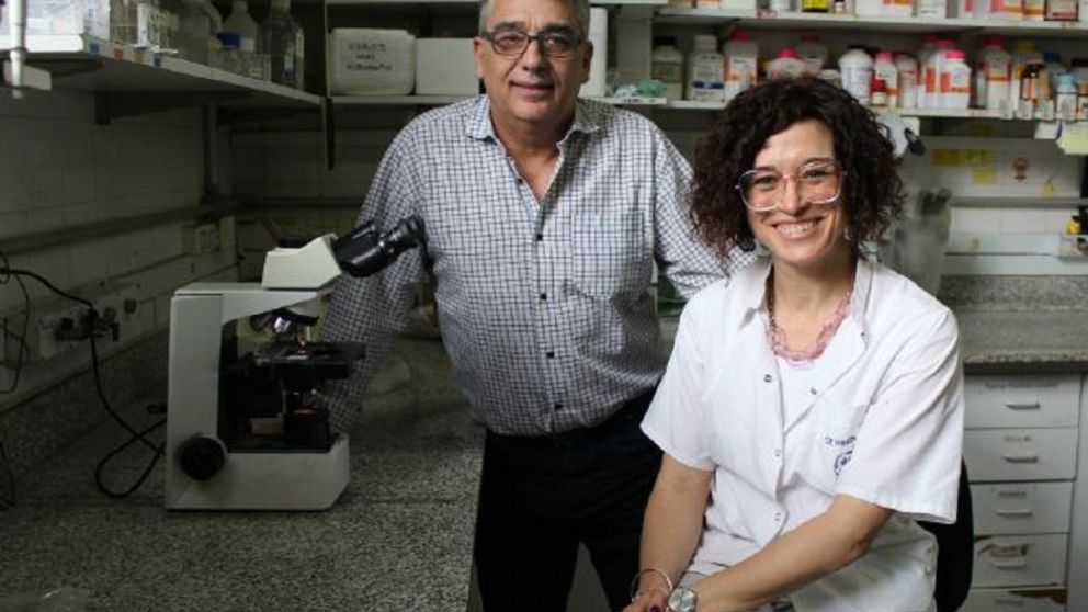 Cient�ficos de la UNQ logran avances en un tratamiento combinado contra el c�ncer de pulm�n