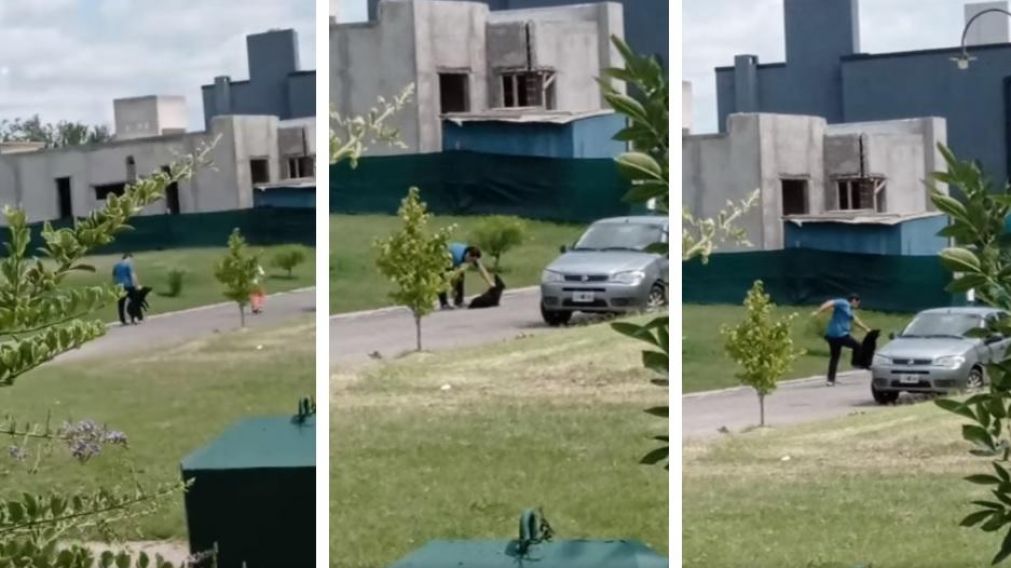 Así un hombre golpeaba a su perro en un country de Tafí Viejo. (Captura video)