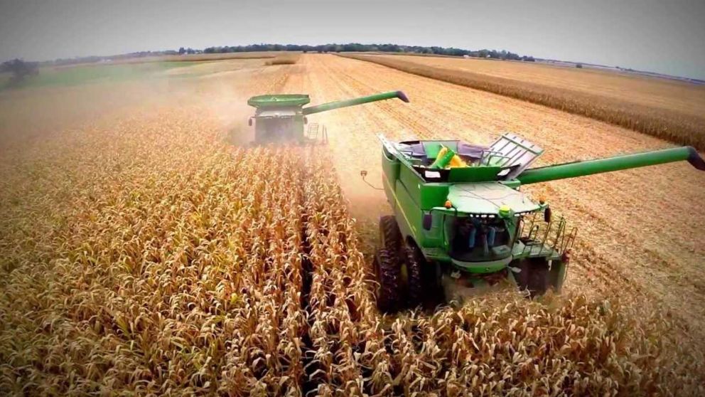 El ejecutivo analiza subir tres puntos los derechos de exportación a la soja y otros productos.