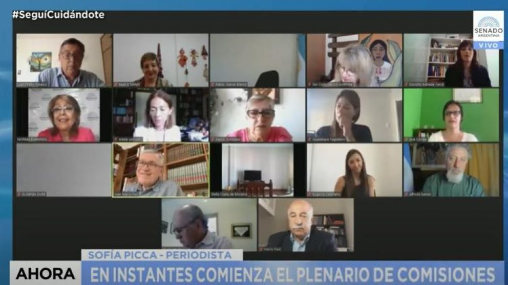 Al finalizar la última audiencia, los legisladores debatirán entre ellos y luego pasarán a la firma del dictamen (Captura de pantalla).