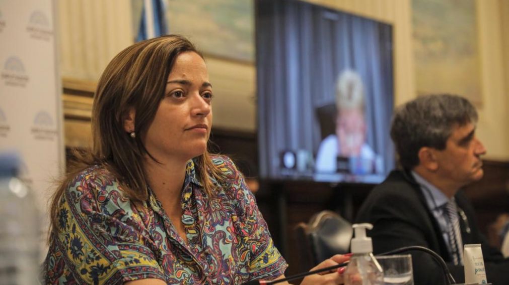 El plenario de comisiones que preside Cecilia Moreau (FdT) se reúne este miércoles para debatir sobre el aborto legal.