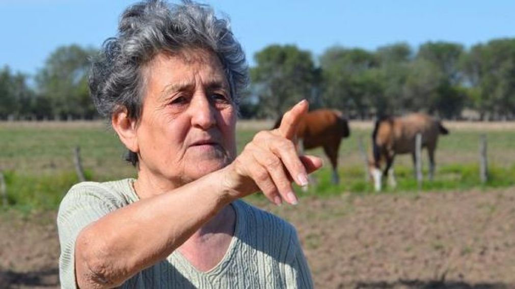 �Extra�as presencias en una estancia de La Pampa? (Gentileza La Arena de La Pampa)