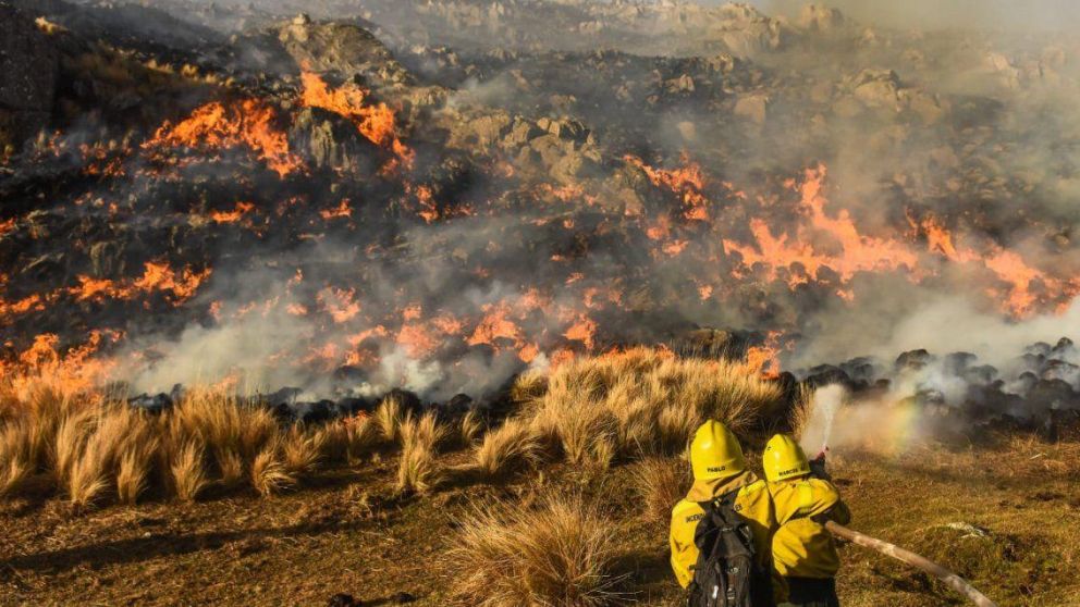 La iniciativa prohíbe la venta de terrenos incendiados en plazos de entre 30 y 60 años.