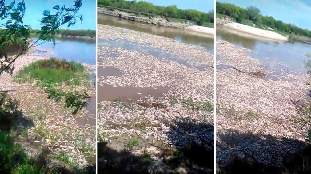 Escenas impactantes en el Río Paraná.