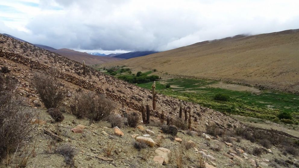 El chico tuvo heridas leves tras la caída por el barranco.