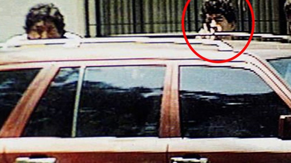 Las imágenes de Maradona detonado su rifle de aire comprimido dieron vuelta al globo