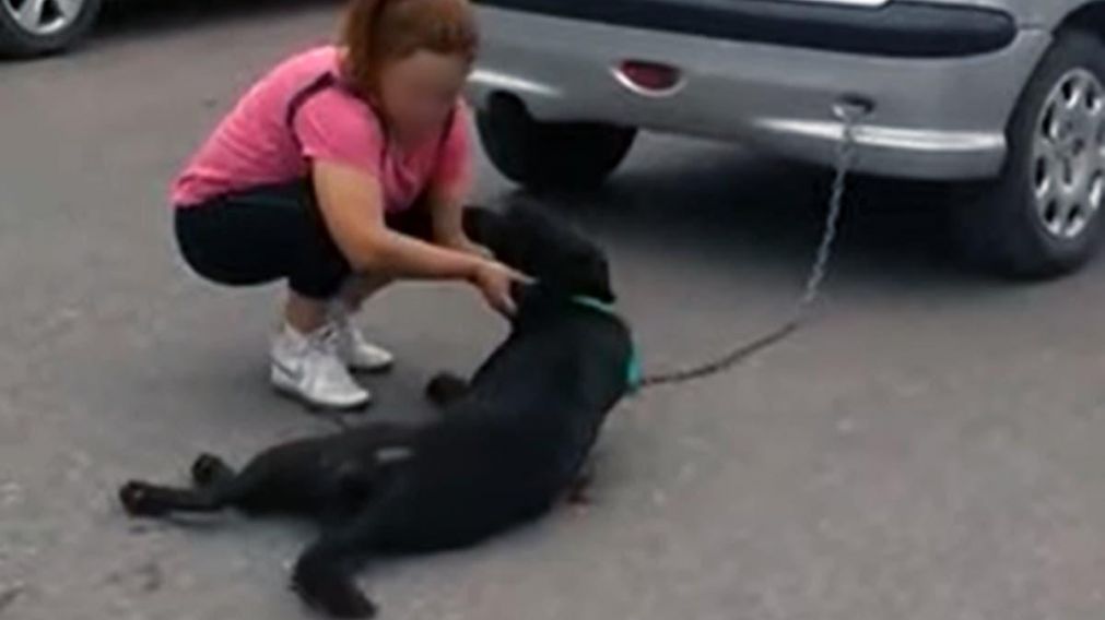 Momento en que una vecina comienza asistir al perro, aun atado al auto.