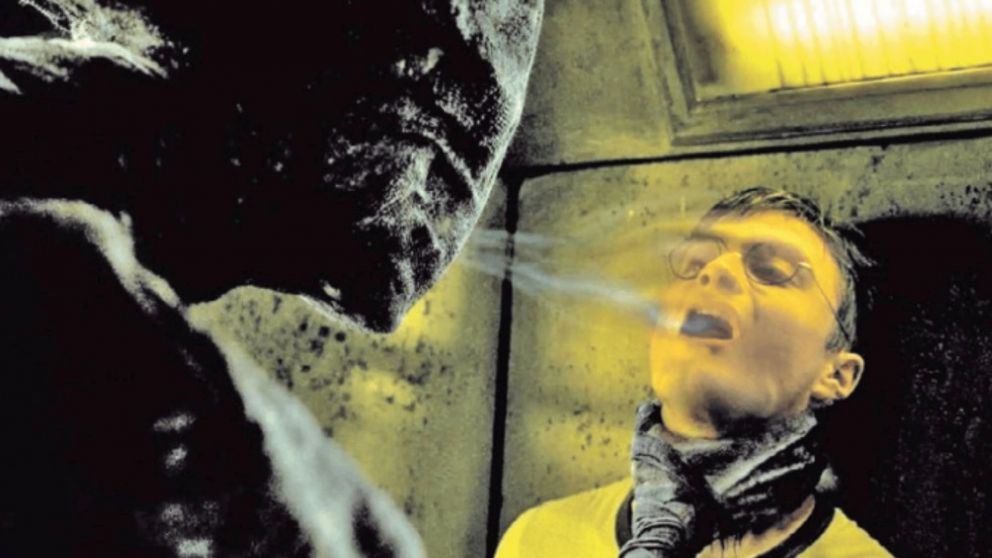 ¡De película! Sombras hambrientas de emociones felices