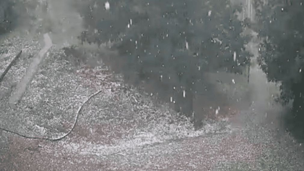 Así cayó granizo en el Valle de Calamuchita: como impactó la tormenta en Córdoba
