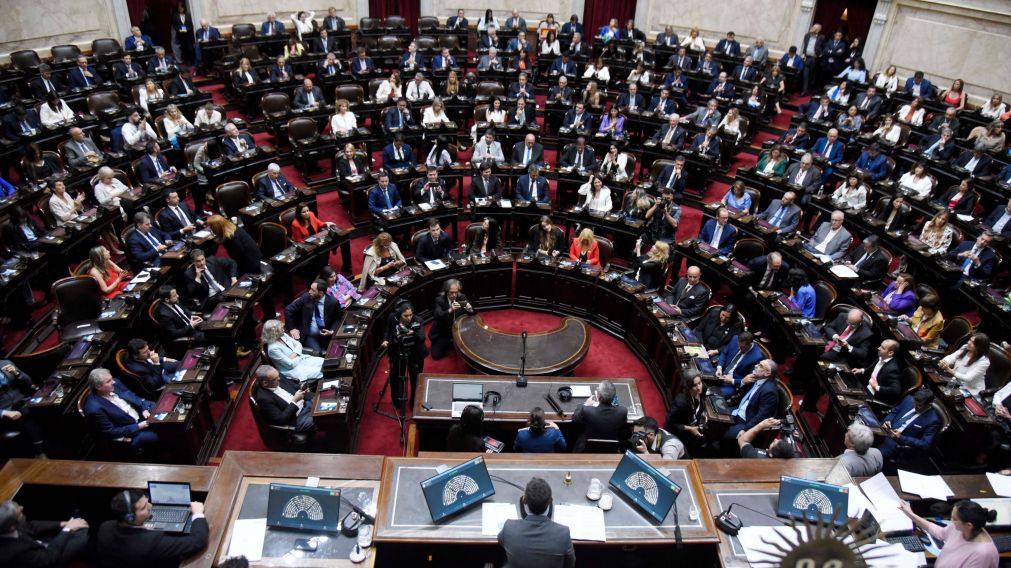 La representación de La Libertad Avanza crece en la cámara Baja (Hernán Nersesian/Crónica).