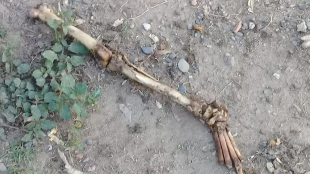 La pieza ósea será examinada por personal de Antropología forense de Santiago del Estero (Gentileza El Liberal).