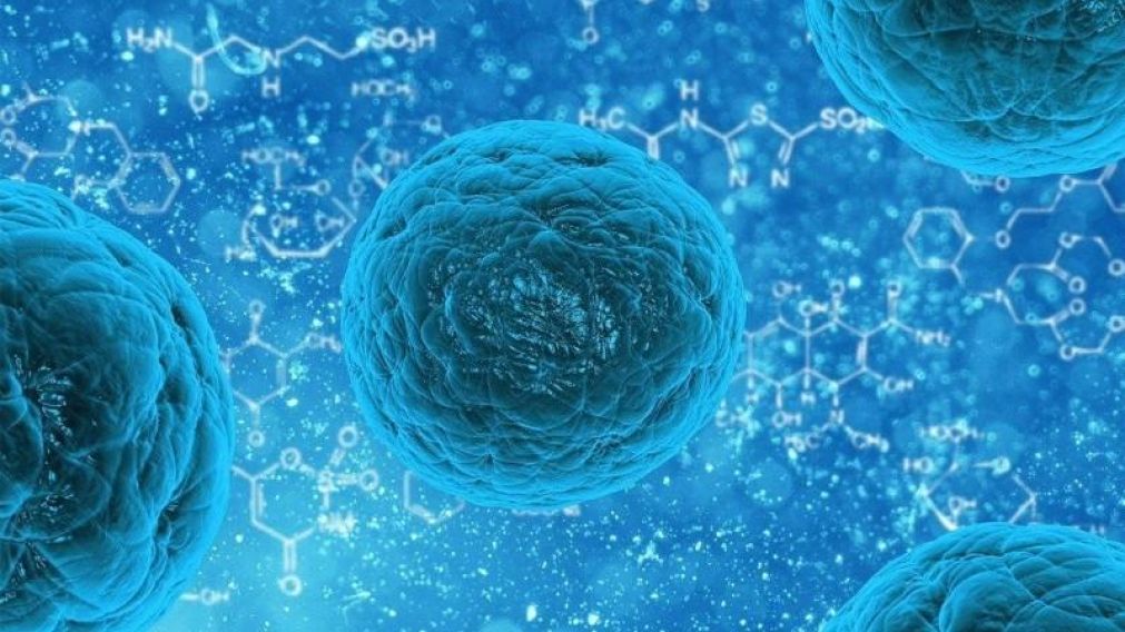 El nuevo virus Chapare tuvo origen en Bolivia y tiene características similares al Ébola.