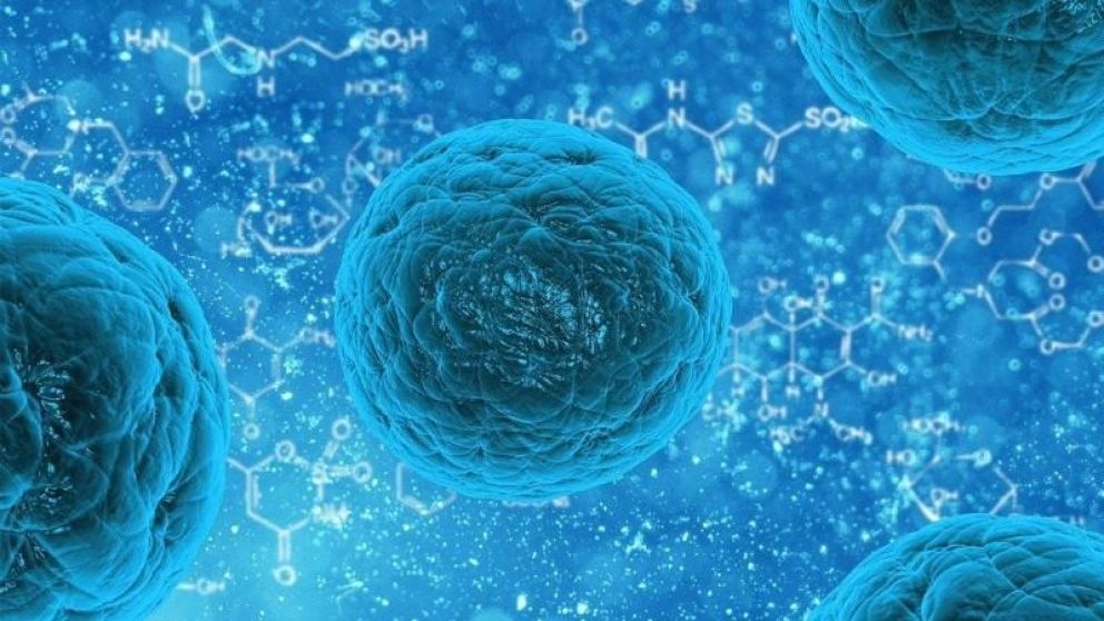 El nuevo virus Chapare tuvo origen en Bolivia y tiene características similares al Ébola.