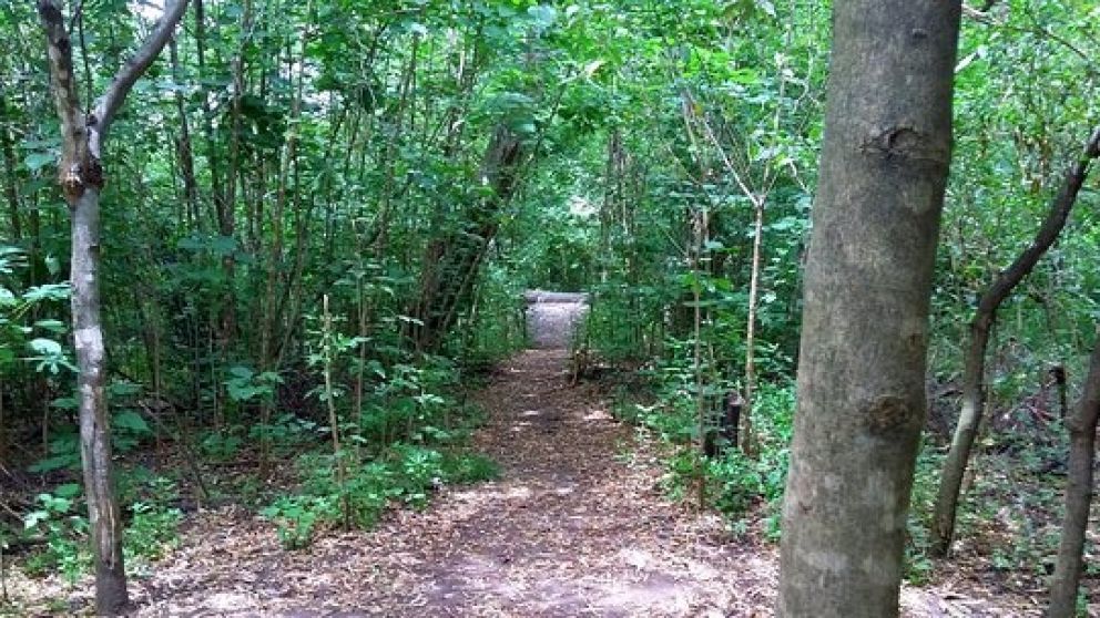 La Reserva Natural Santa Catalina, de Lomas de Zamora.