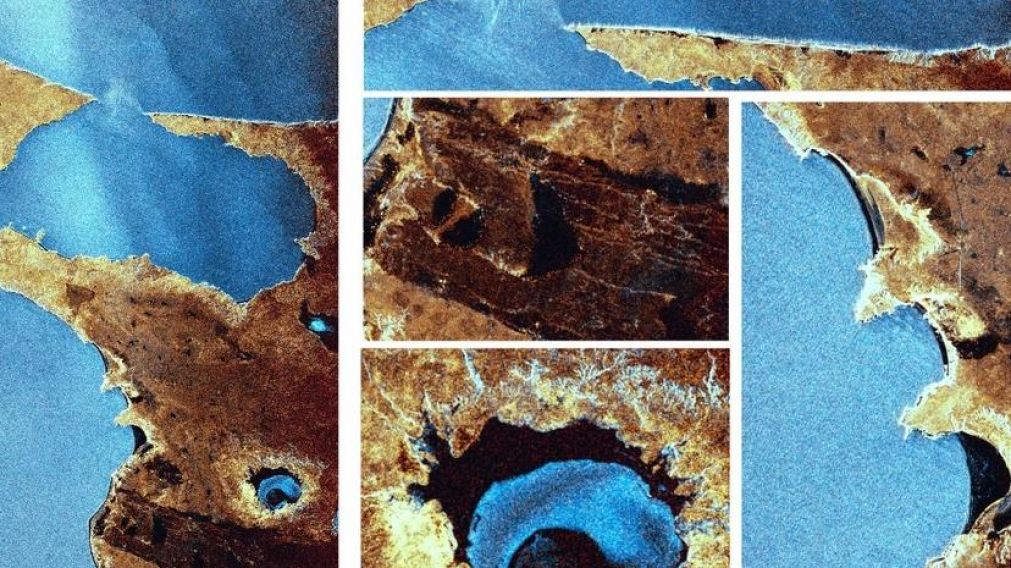Las primeras imágenes fueron de la península de Valdez, en Chubut.