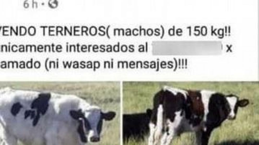 Las presuntas usurpadores tendrían antecedentes penales.