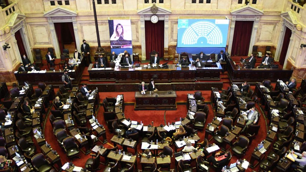 Una nueva jornada de sesiones remotas en el Congreso (Télam).