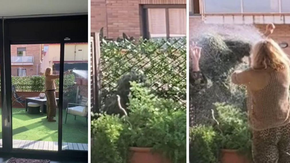 El español Héctor Riumbau le hizo una broma pesada a su madre