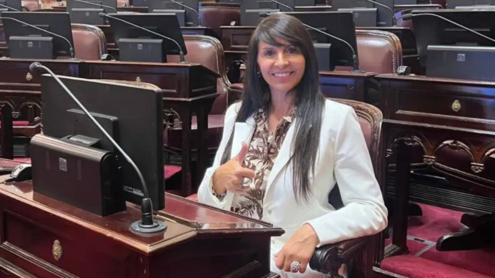 Su asunción se vio frustrada por una impugnación presentada por el peronismo.