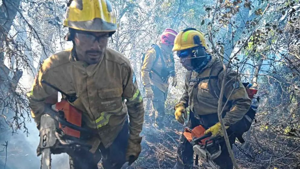 Intenso trabajo de los bomberos para sofocar las llamas (Gentileza Diario Río Negro).