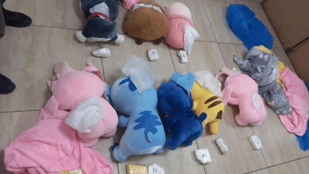 La droga estaba escondida en muñecos de peluche.