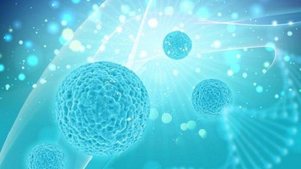 El nuevo medicamento está en etapa de estudio y recibió el nombre de BO-112.