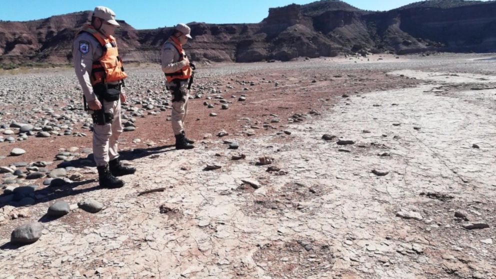 El hallazgo tendría una antigüedad de casi 100 millones de años (Gentileza El Chubut).