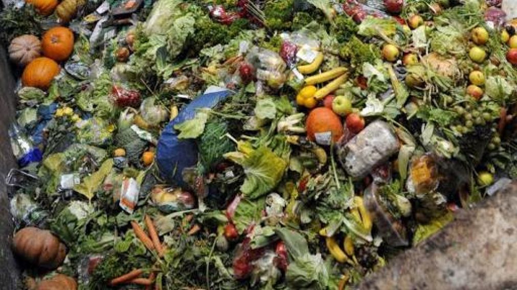 Seg�n advirti� la ONG,  "solo tenemos nueve a�os para revisar el sistema de producci�n alimentaria a nivel global".
