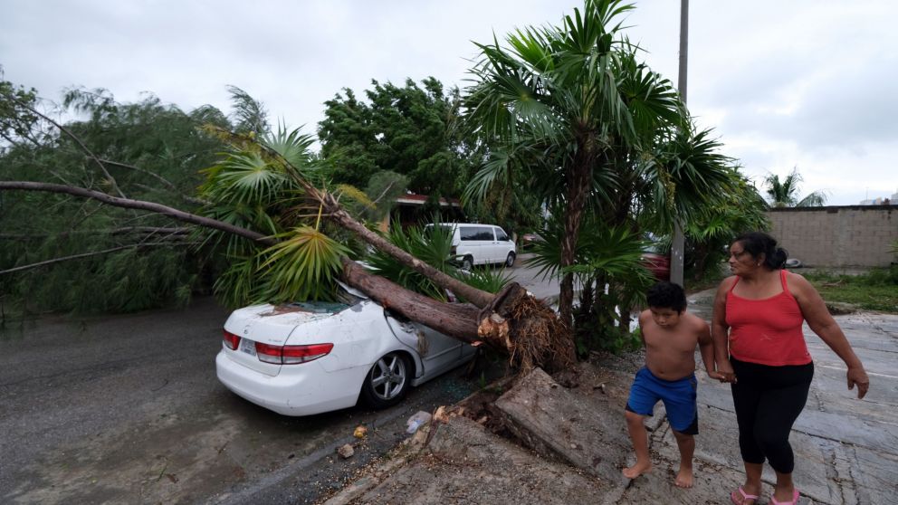 Un árbol caído y un auto destrozado, una imagen repetida en Puerto Morellos.