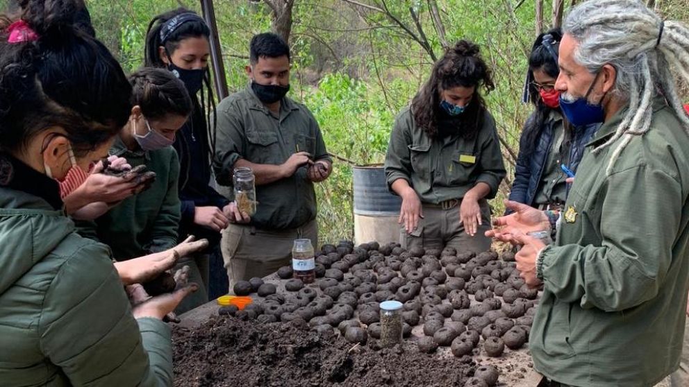 El grupo de guardaparques avanza con la preparación de estas "bombas de semilla".
