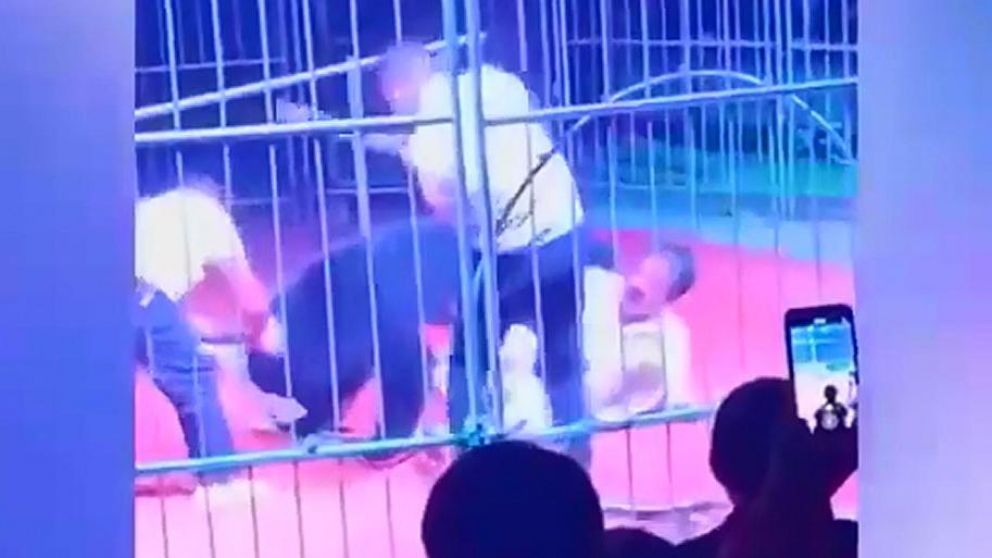 Las mordeduras no fueron de gravedad ya que desde pequeño le limaron los dientes. (Captura de video)