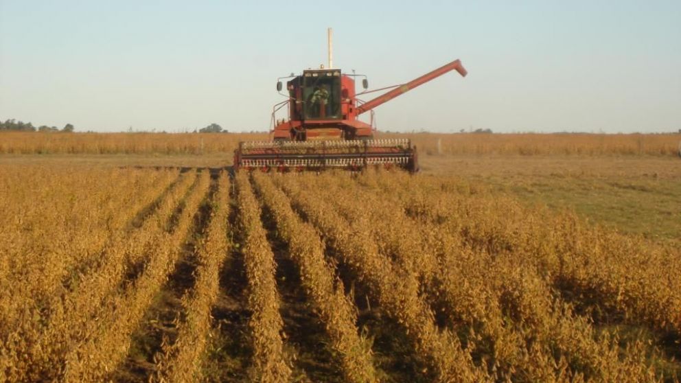 En enero, como est� designado por Ley, la retenci�n volver� a ser del 33%.