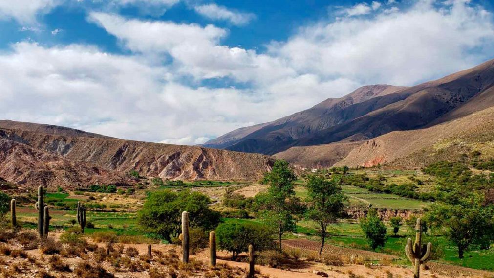 Paisajes andinos, cerros multicolores y cultura viva en uno de los valles más sorprendentes de Salta.