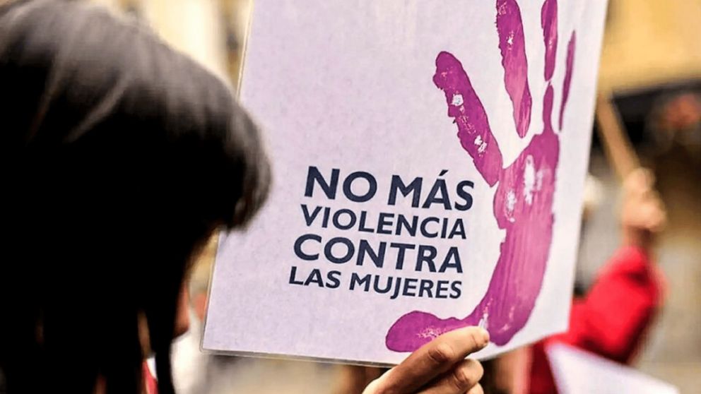 Las distintas violencias que las mujeres sufren en el  marco de la relaci�n de pareja.